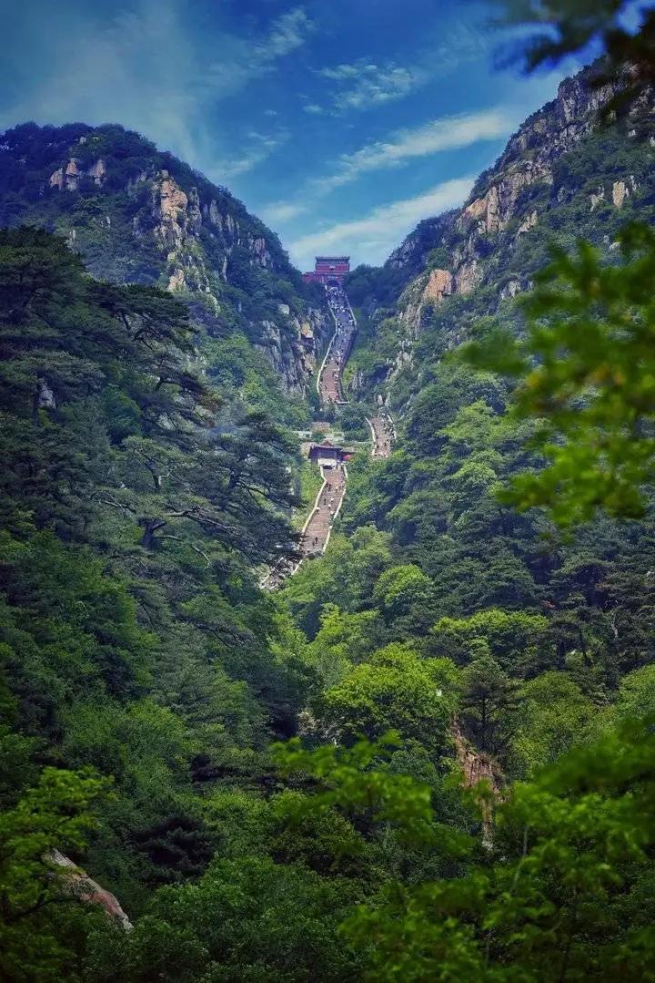 山东免费景区开放最新通知,山东景区门票免费政策有哪些