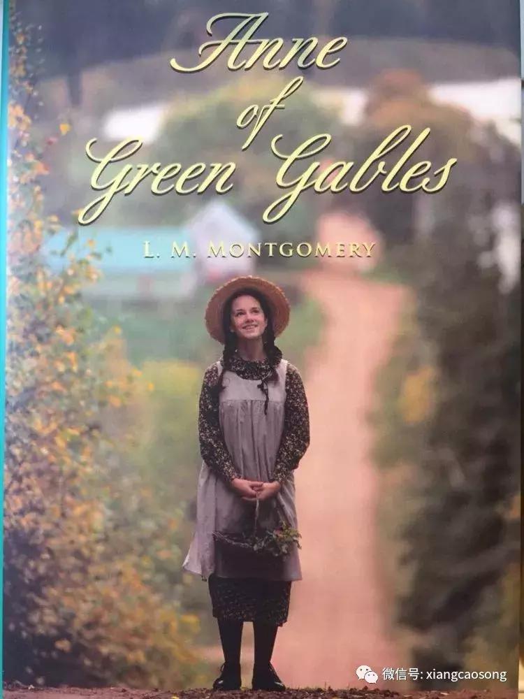 漂洋过海来挖宝,漂洋过海去台湾吃海鲜