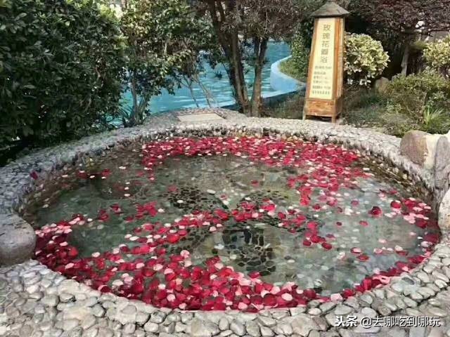 庐江金孔雀温泉门票,合肥庐江金孔雀温泉攻略