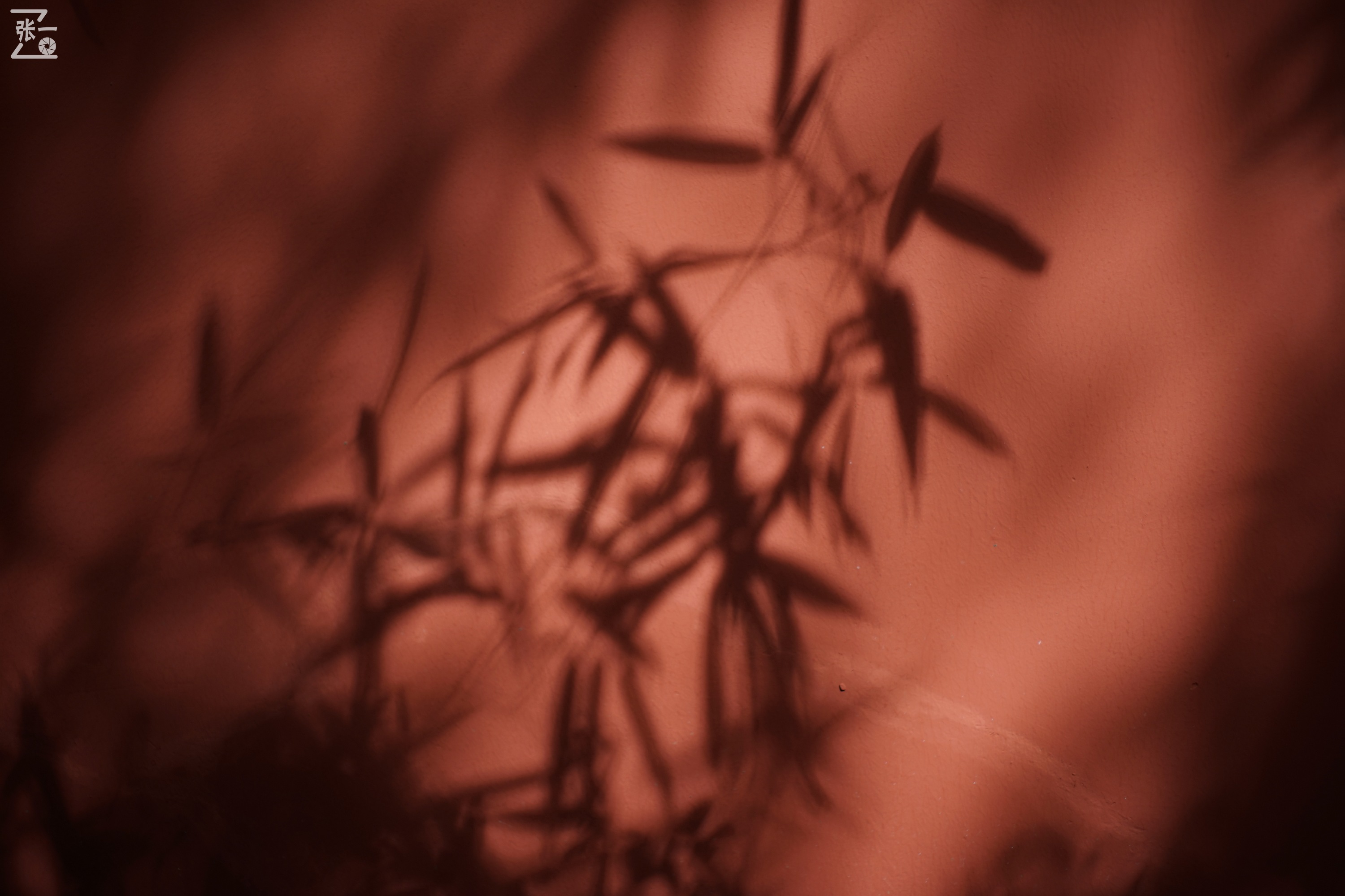 宾得老镜头k系列,老北京镜头