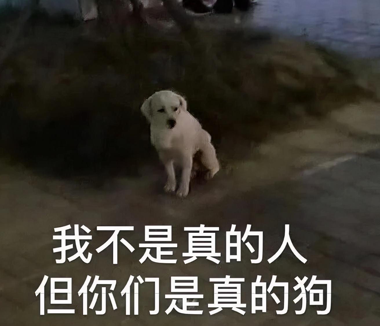 留学生过海关不能带什么,留学生回国海关行李怎么办