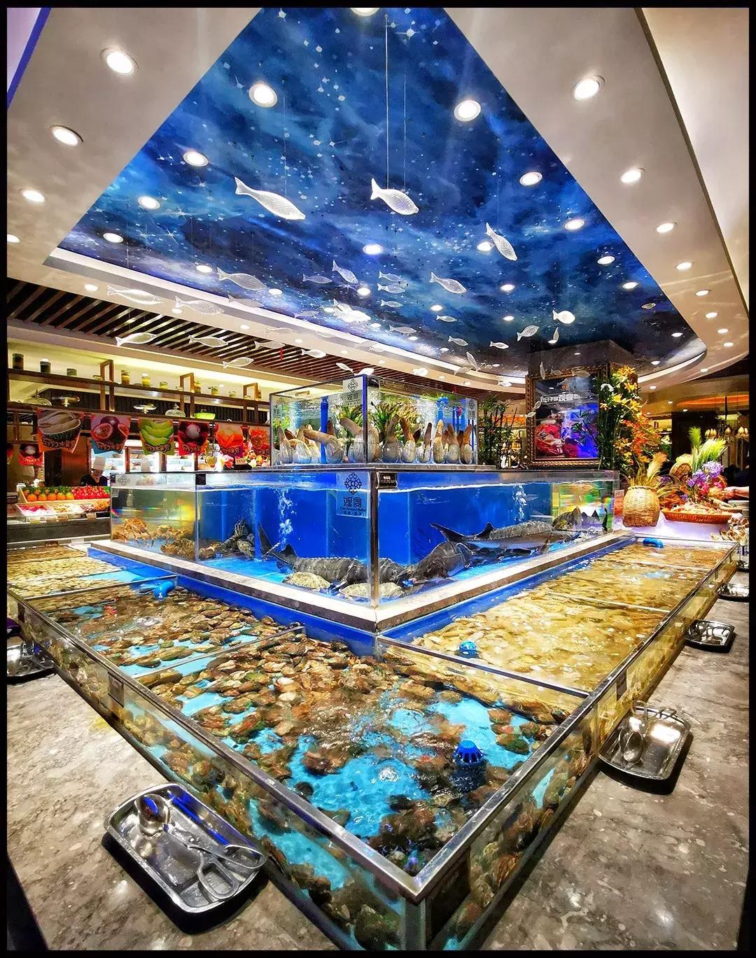 帝王蟹自助在哪里吃比较好,帝王蟹随便吃后续