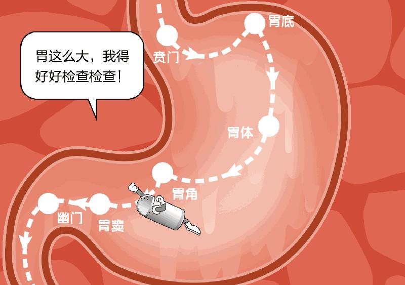 深圳癌症发病率最高的城市,深圳癌症多少例