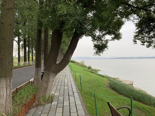 离婚一审财产分割不服可以上诉吗,离婚财产判决不服怎么处理