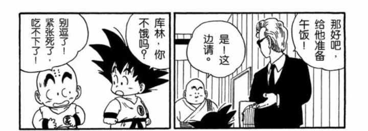 龙珠武道大会裁判有多强,龙珠中的第一武道会