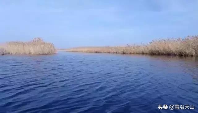 新疆若羌县祁曼塔格乡有多大,最大的县城若羌县