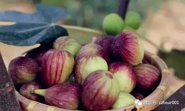 常州这10个被全省表彰的“网红村”、“创意园”，你去过吗？