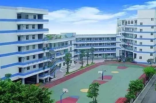 2019年深圳前十名的小学,2019年深圳小学综合排名99所