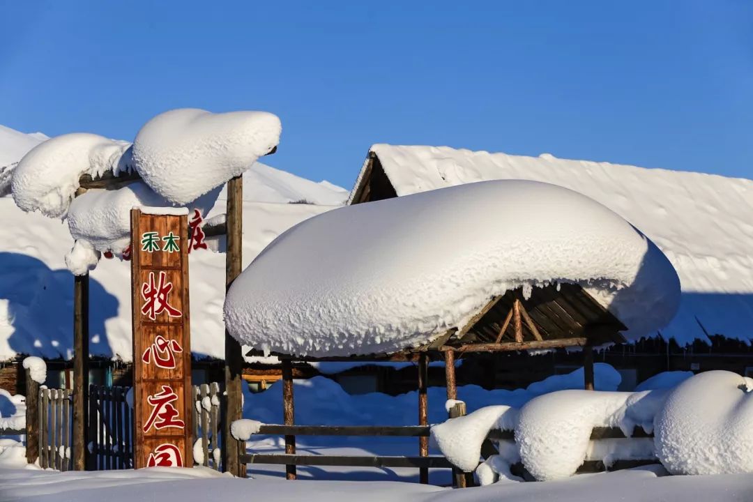 鍫瘮鐟炲+鐨勪腑鍥芥粦闆満,濯茬編鐟炲+