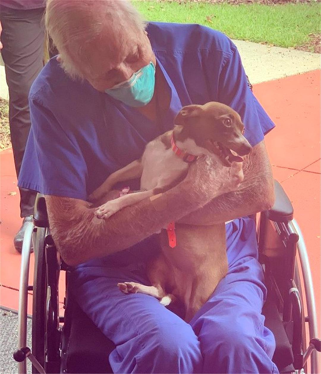 七旬老人突发疾病及时获救,吉娃娃生病了全集