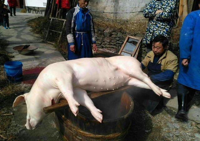 香奈儿猪皮纹身包价格,男子在富贵包上纹香奈儿