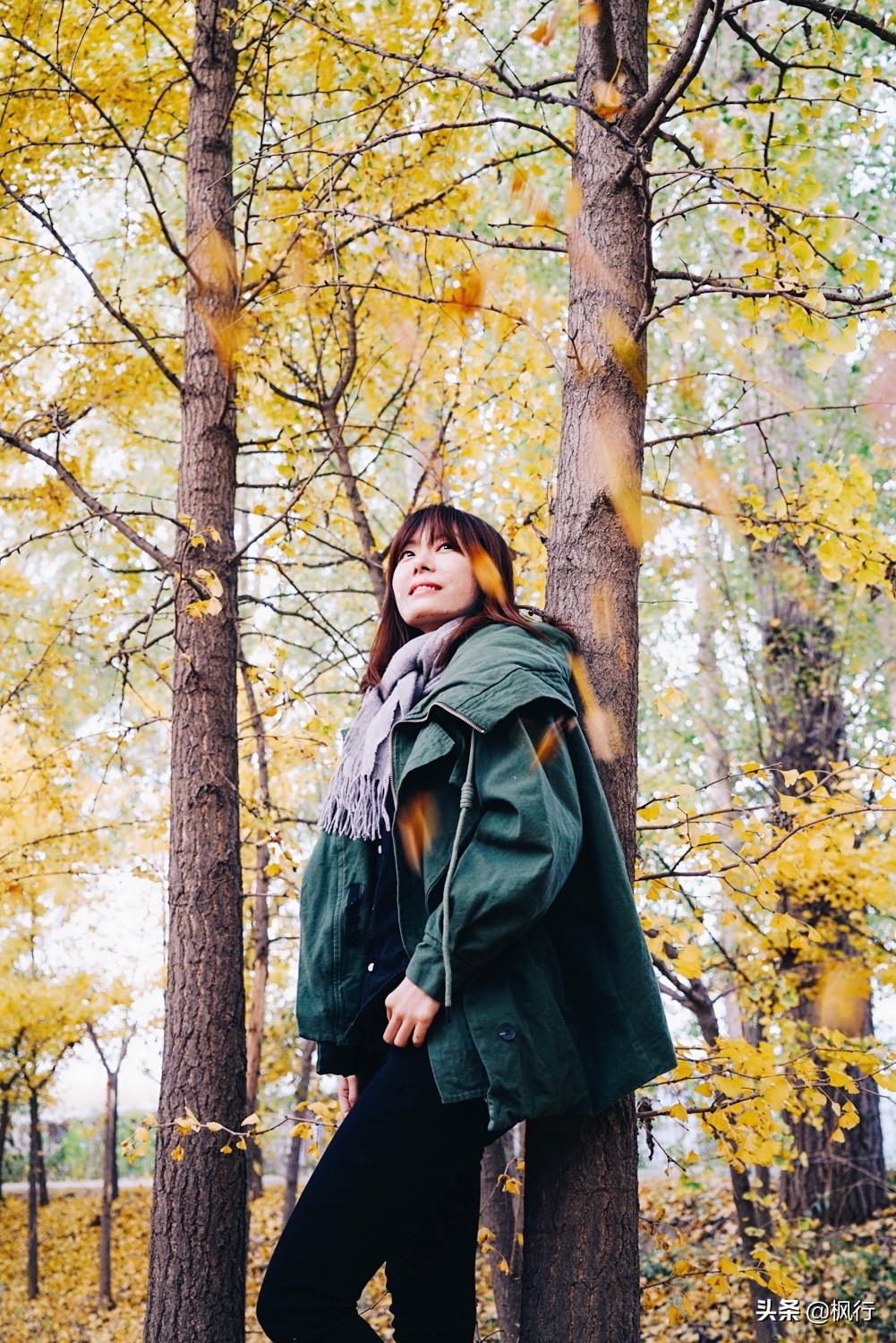 北京18个看银杏的好地方在哪,北京八大处看银杏攻略