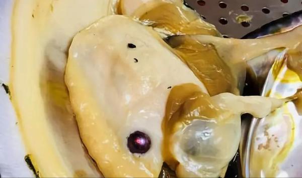 蟹爪兰冬珍珠是什么品种,珍珠等级标准品种价格