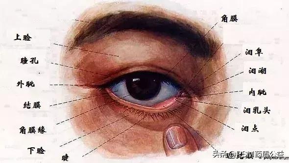 常见眼科疾病是什么病毒引起的,眼科疾病有哪些症状