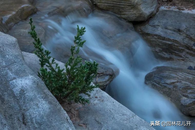 住宅小区的景观设计,高档住宅景观设计关注点