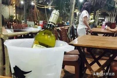 “仙龙后代”—越南