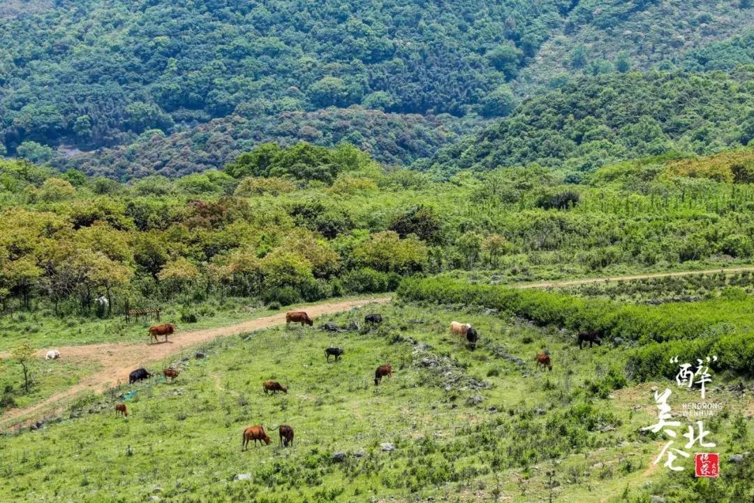 北仑摩天轮俯瞰北仑,可俯瞰北仑