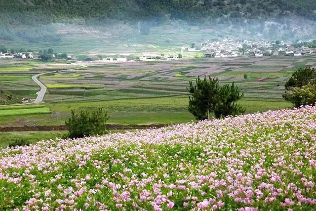 云南十大公路自驾游,云南自驾5条最佳线路图