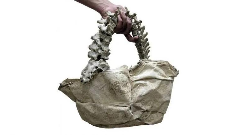 富二代儿童脊椎包,富人用小孩的脊椎做手提包