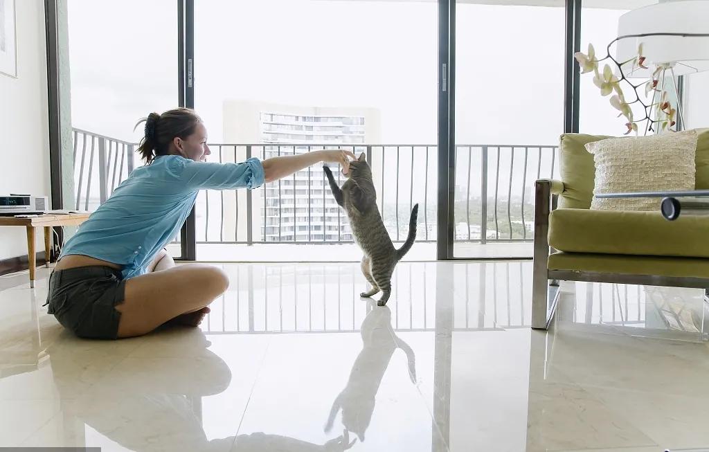 宠爱有家小说,宠爱有家猫粮怎么样