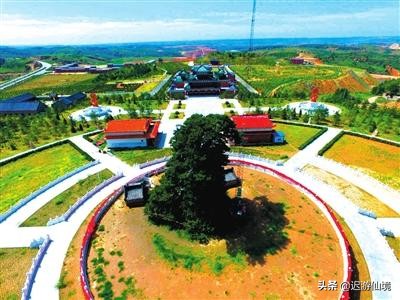 中国第一松是什么松,中国第一松