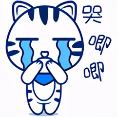 迈成专属表情包，“迈萌”喵来啦