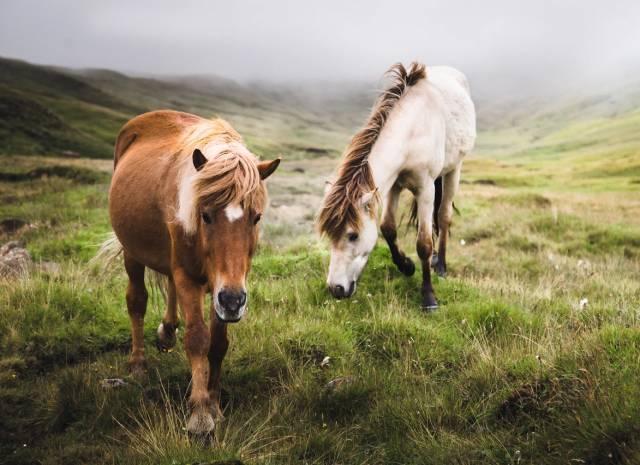 丹麦法罗群岛完整版,世界的尽头法罗群岛视频