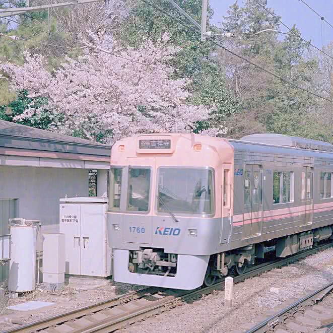 你别太嚣张毕竟我也会爱上别人的