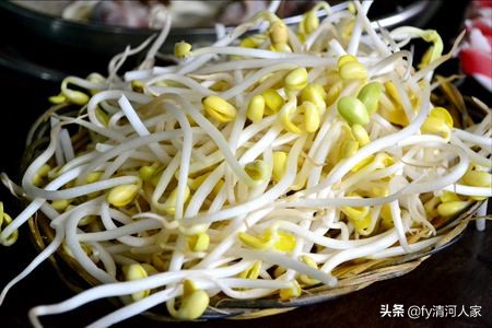 美味的豆芽生长过程,豆芽炒鸡肉的美味做法