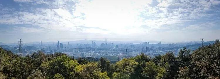 深圳首条手作“原始登山道”，人少好爬景色超美…过年去哪不用愁