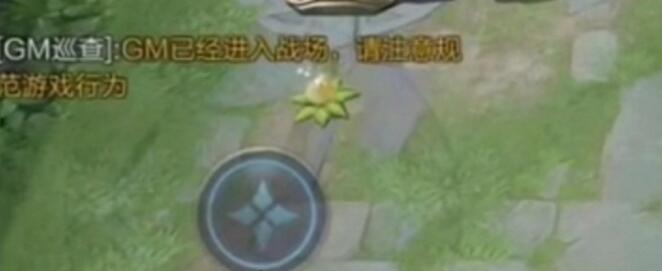 王者荣耀gm巡查,王者荣耀gm巡查有谁