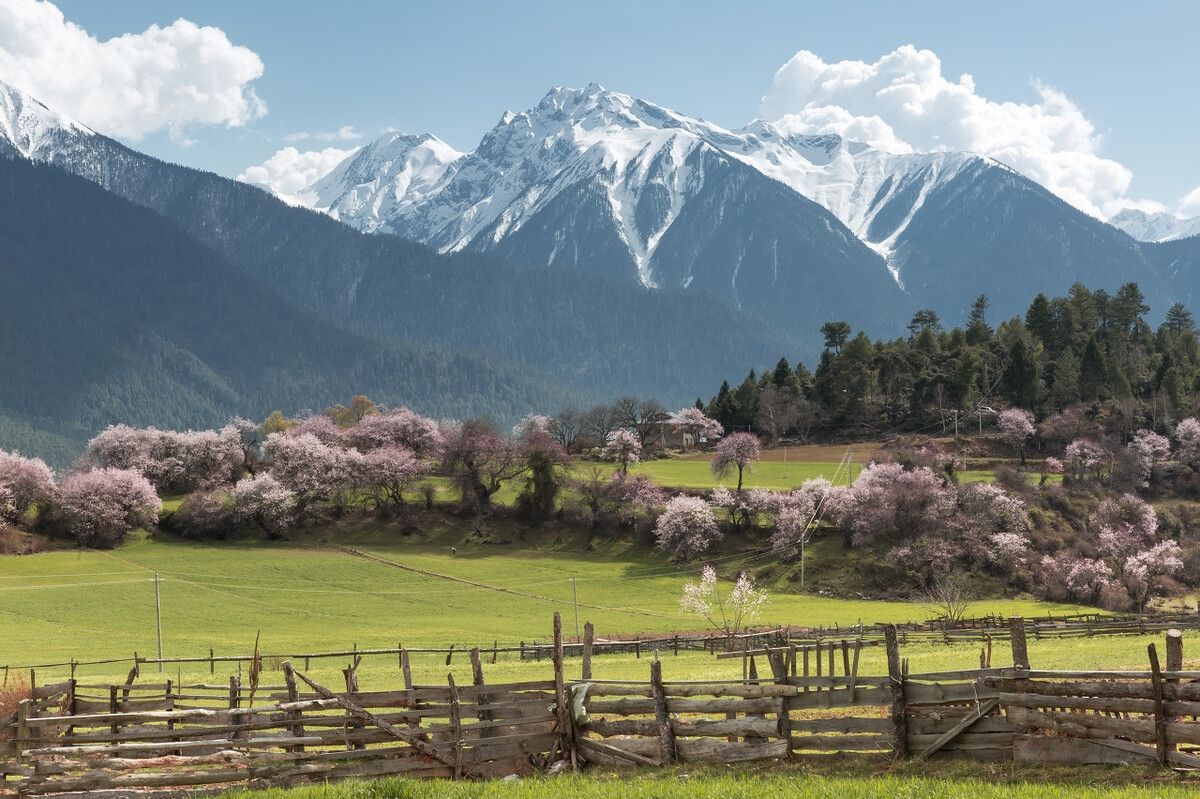 清明自驾游免费路线推荐,清明假期自驾一日游攻略