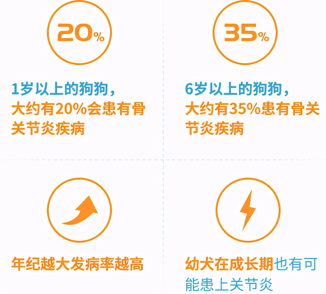 天冷了狗狗是不是不爱动,狗狗冬天不愿意走动