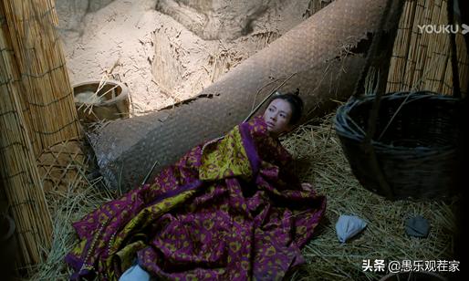 上阳赋哪天开播,上阳赋收视率为什么那么高