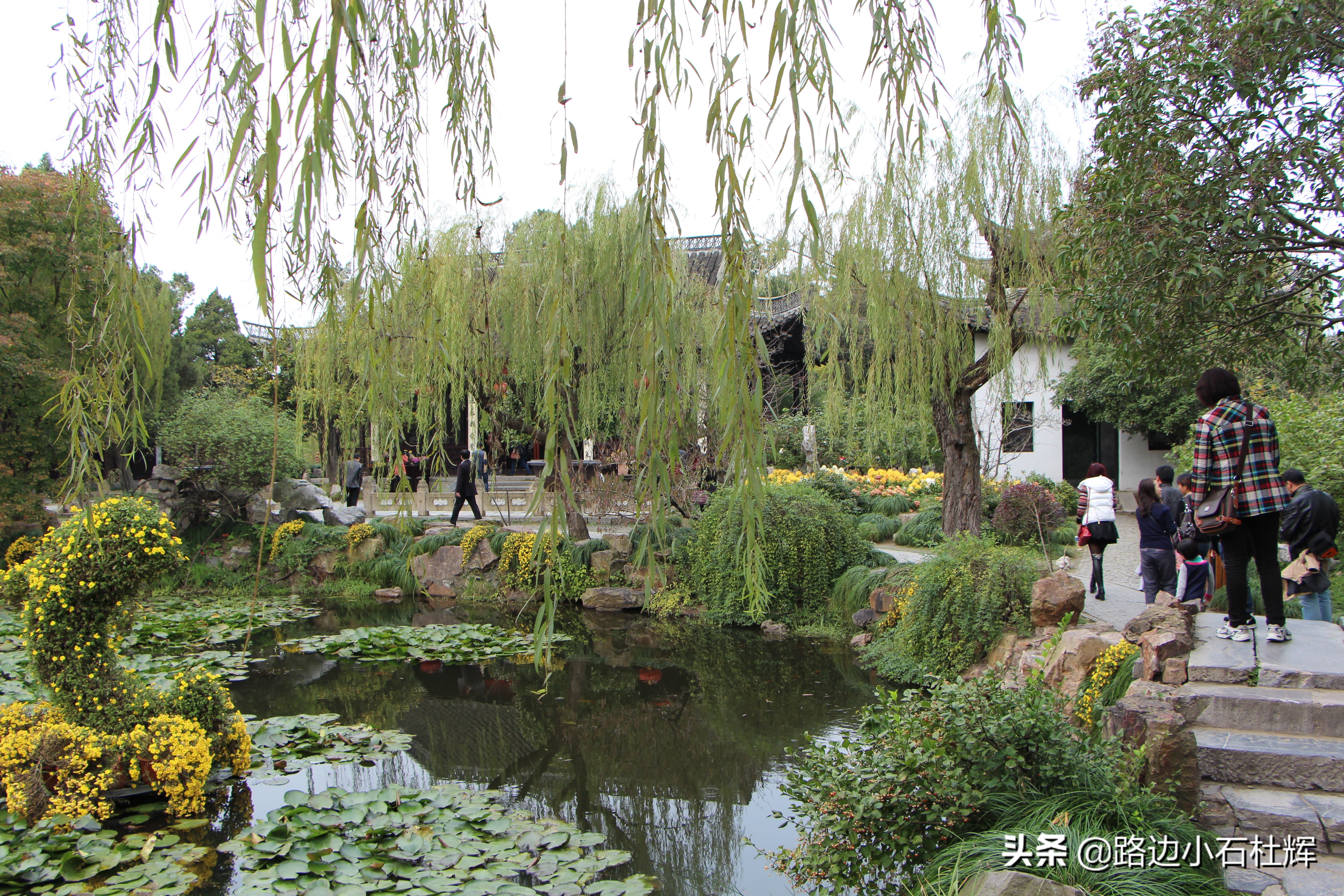 扬州瘦西湖之行,扬州瘦西湖游一圈