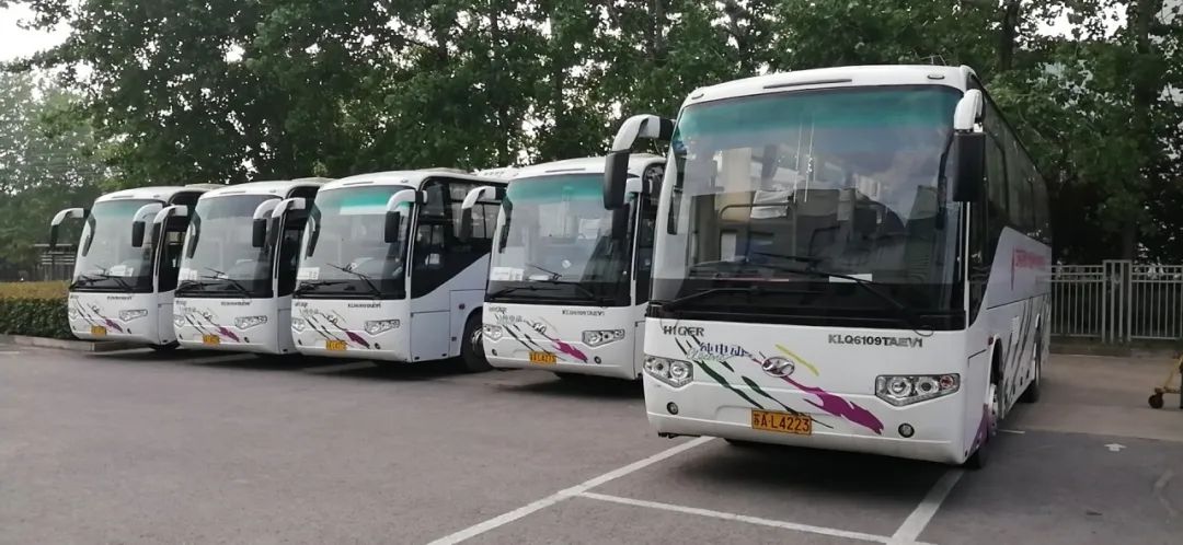 纸雕创意灯,纸雕灯新视角