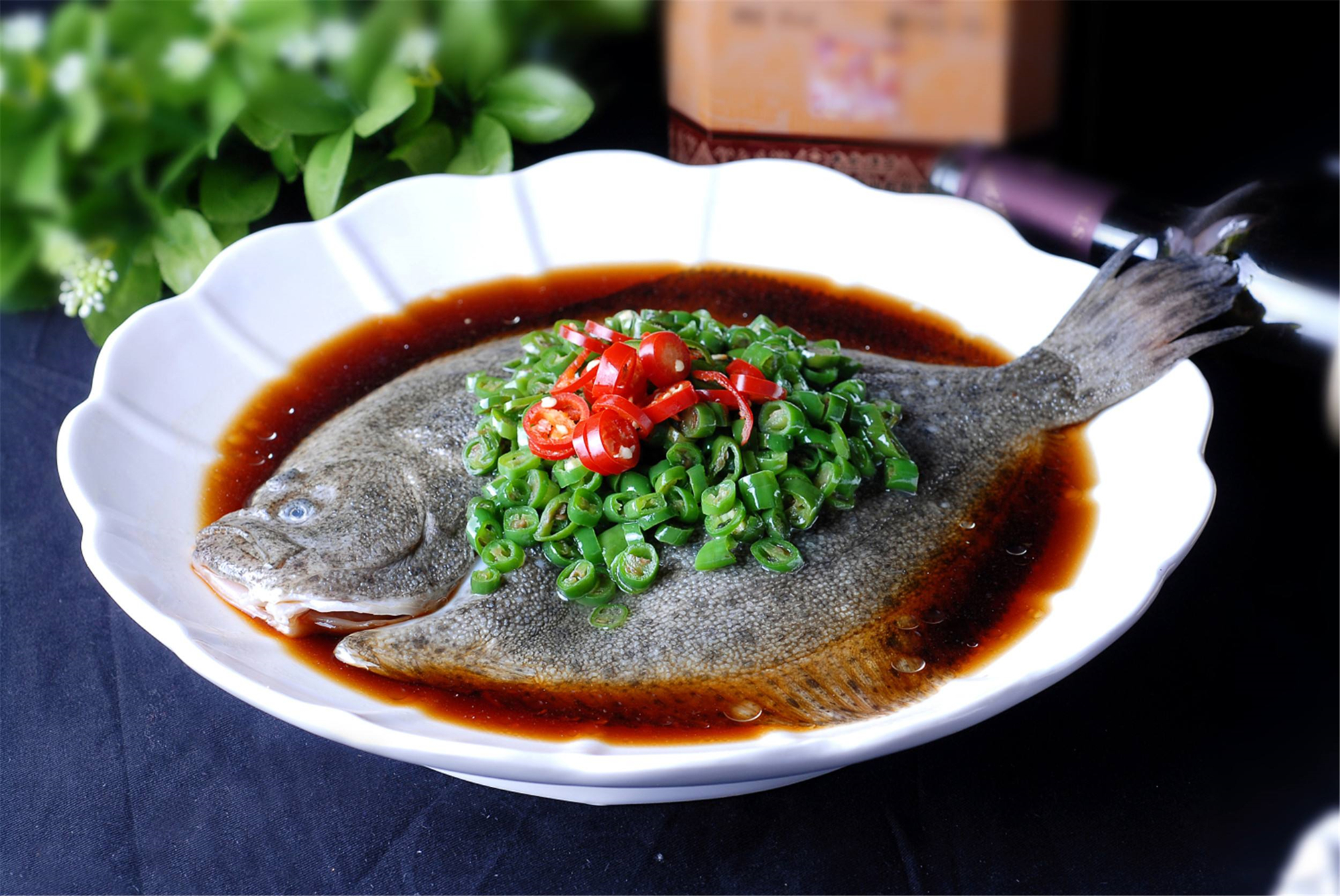 内河鱼泉之谜完整版免费,鱼泉之谜全集解说完整版