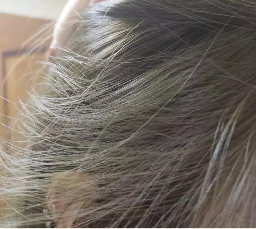 可以长头发的樱花洗发水,樱花水感控油清爽洗发水