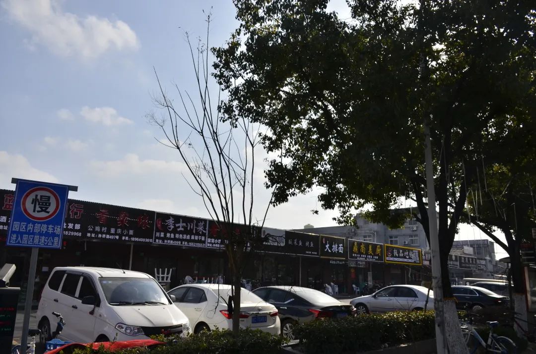 孙侨潞到底最后怎么样了,孙桥为什么发展慢