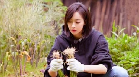 向往的生活劈柴宋茜彭昱畅,宋茜向往的生活3