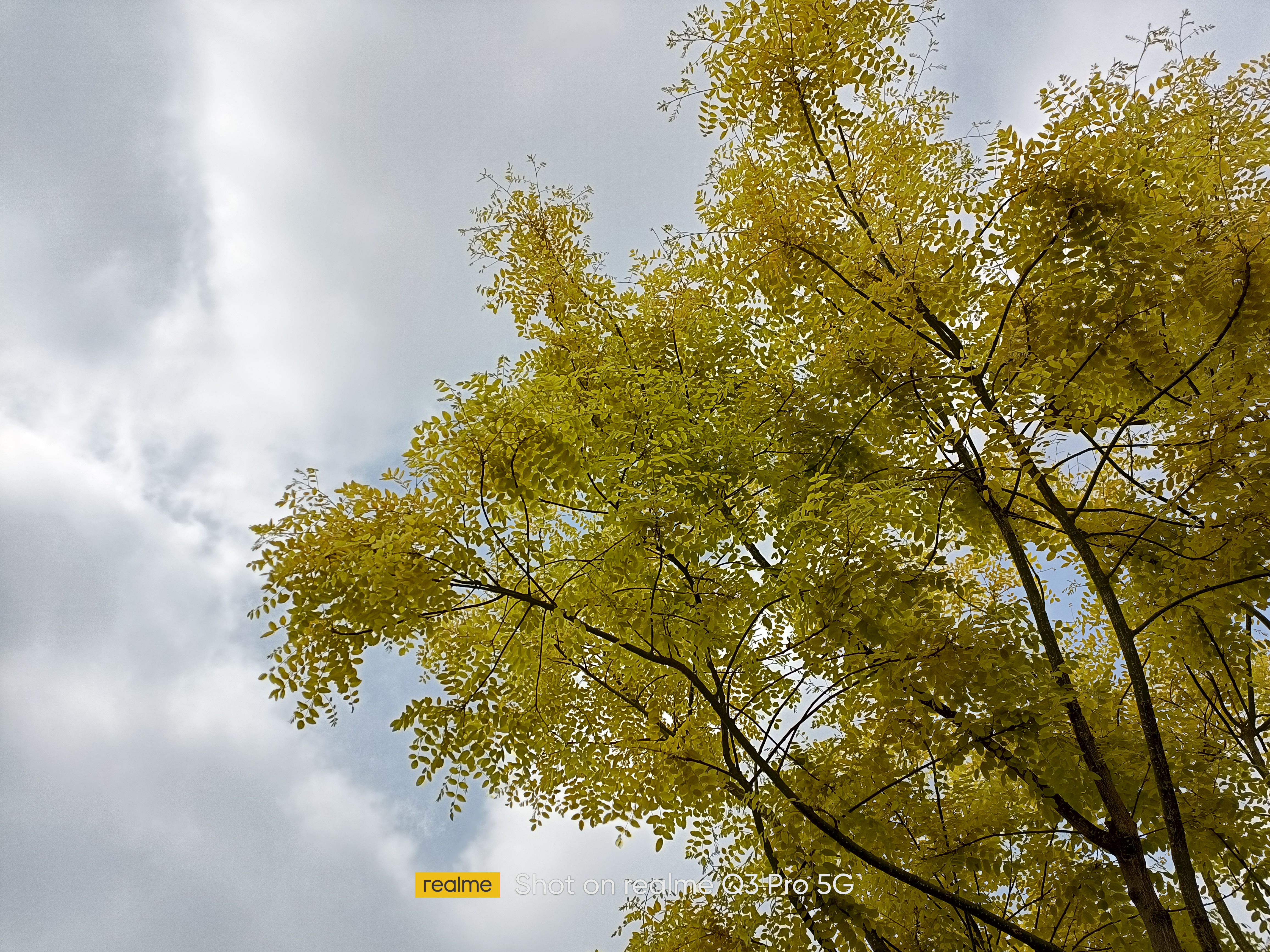 realme真我手机哪三款值得购买,realme618折扣