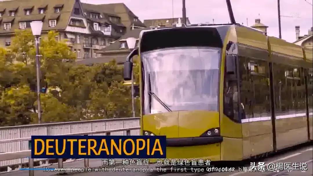 色盲眼中的世界,黄绿色盲患者眼中的世界