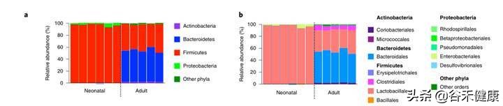 探索微生物奥秘演讲,微生物菌剂探索