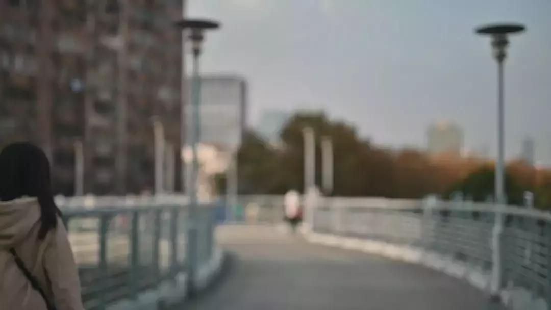 适马85mmf1.4art与蔡司55mmf1.8,适马501.4art与适马501.4