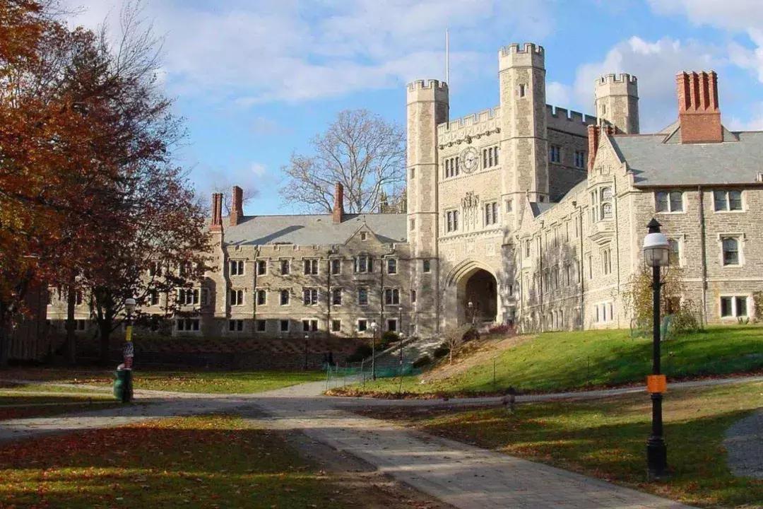 都是网红是什么意思,都是网红的村