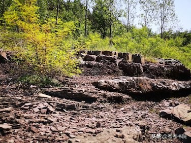 闀垮畨闆呭＋,闀垮畨闆呭＋瀹屾暣瑙嗛