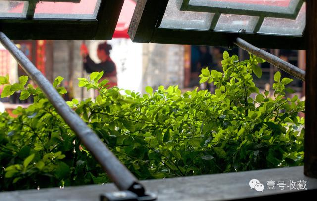 钱钟书：许多景象是要闭了眼才能看见的