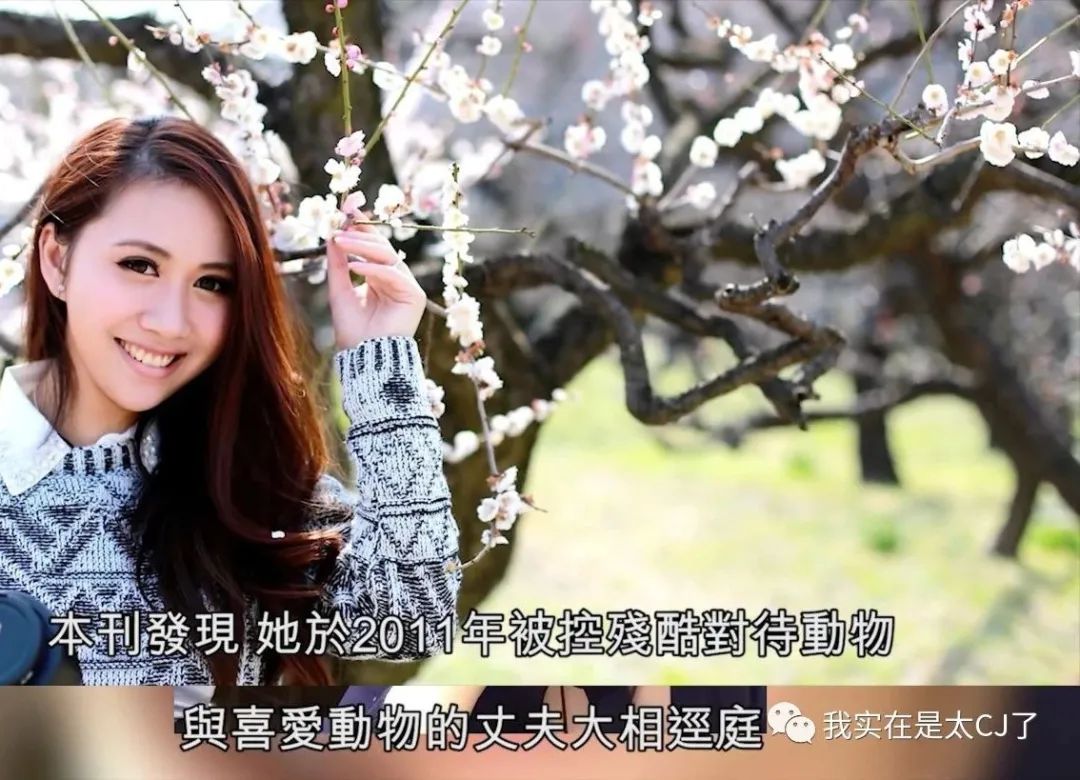 就这种老掉牙的套路，骗了他们四个亿？