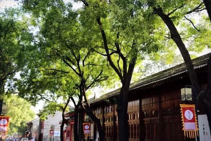 五一去哪玩韩城 (五一假期去哪里玩韩城)