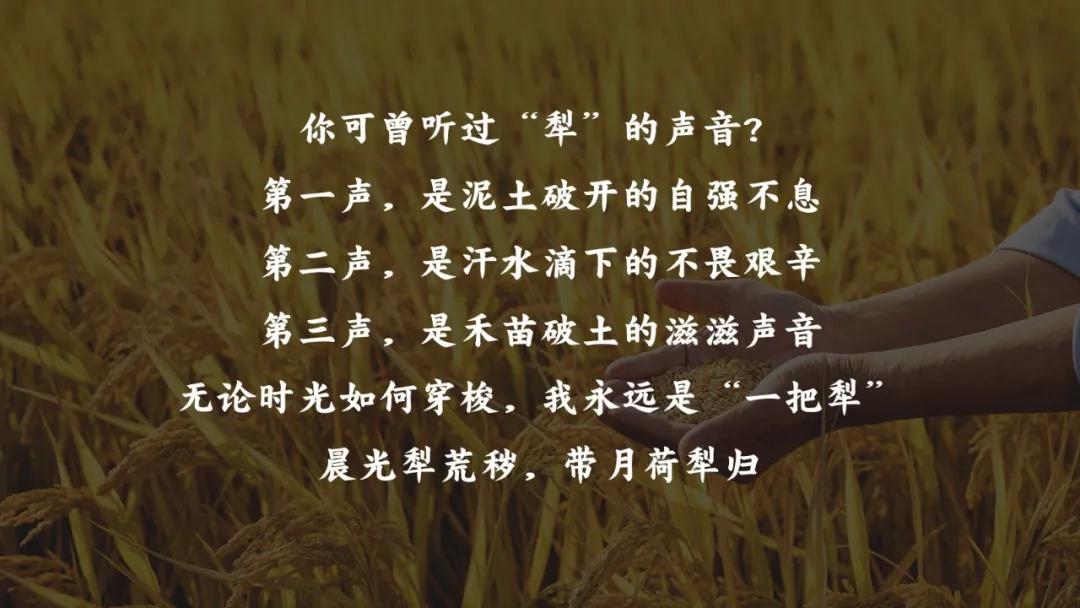 农业创业项目经营模式,农业创业必须看的10个技巧